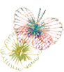 蝶々