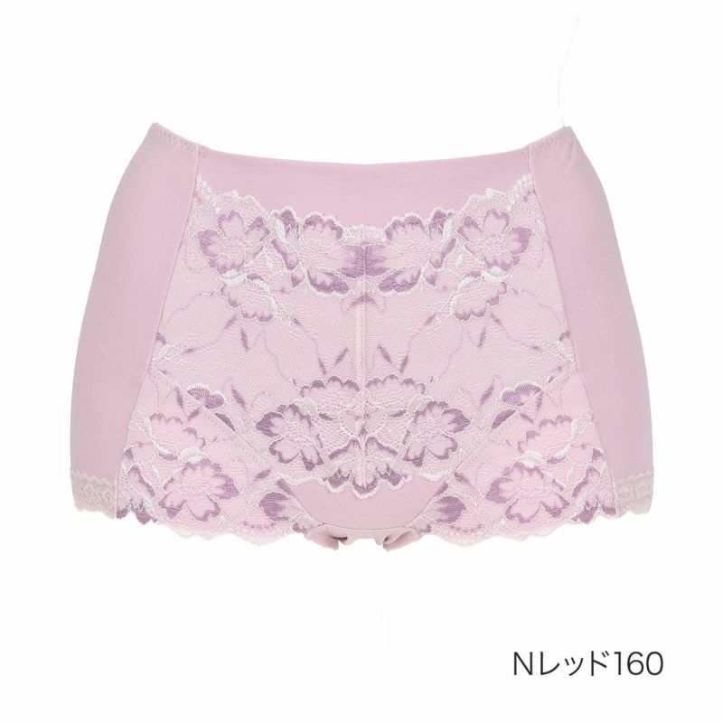 レディースインナー無地レース抗菌防臭加工部屋干し臭防止