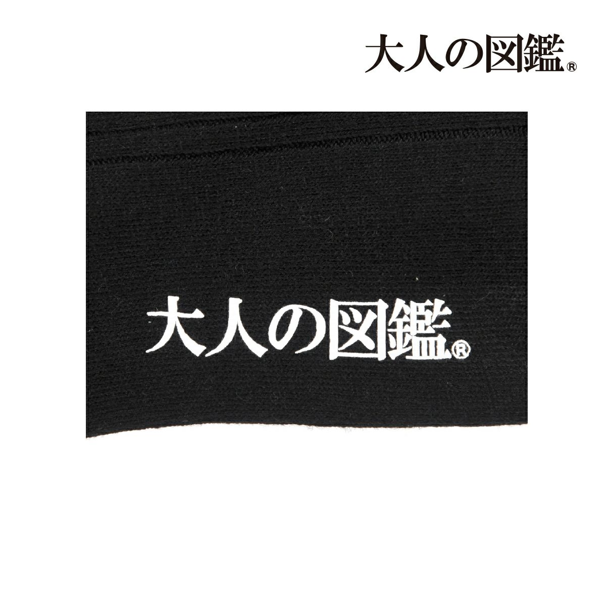 【大人の図鑑】靴下古代エジプト編無地リブラインワンポイント刺繍ショート丈ファラオ(3182-05N)