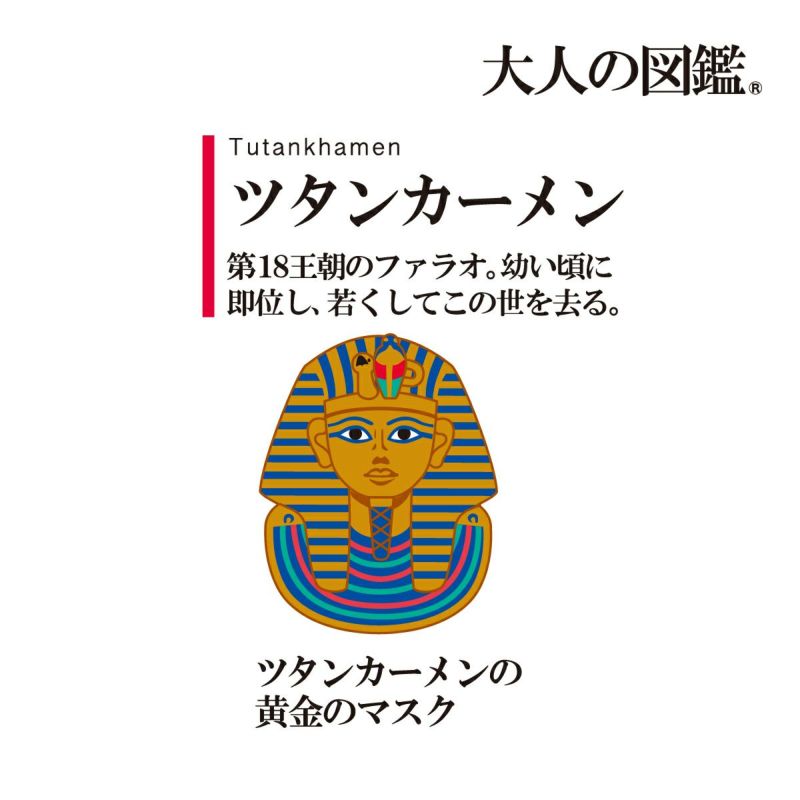 【大人の図鑑】靴下古代エジプト編無地リブラインワンポイント刺繍ショート丈ファラオ(3182-05N)