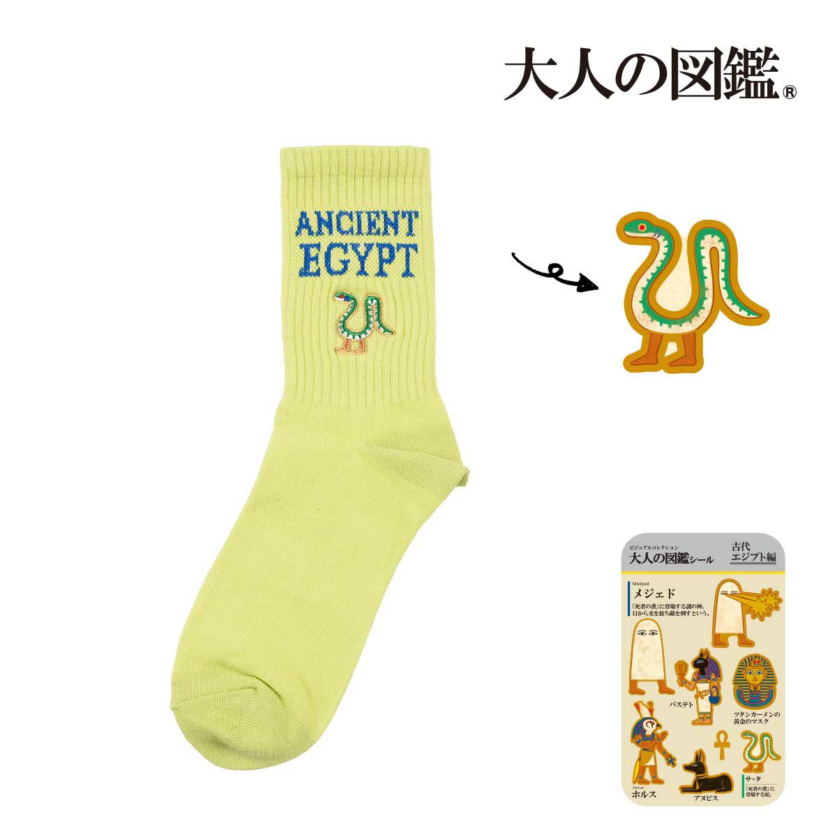 【大人の図鑑】靴下古代エジプト編無地リブワンポイント刺繍クルー丈サ・タ(3182-08N)