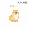 【大人の図鑑】靴下ポメラニアン編無地リブワンポイント刺繍ショート丈ポメラニアン(3182-09N)
