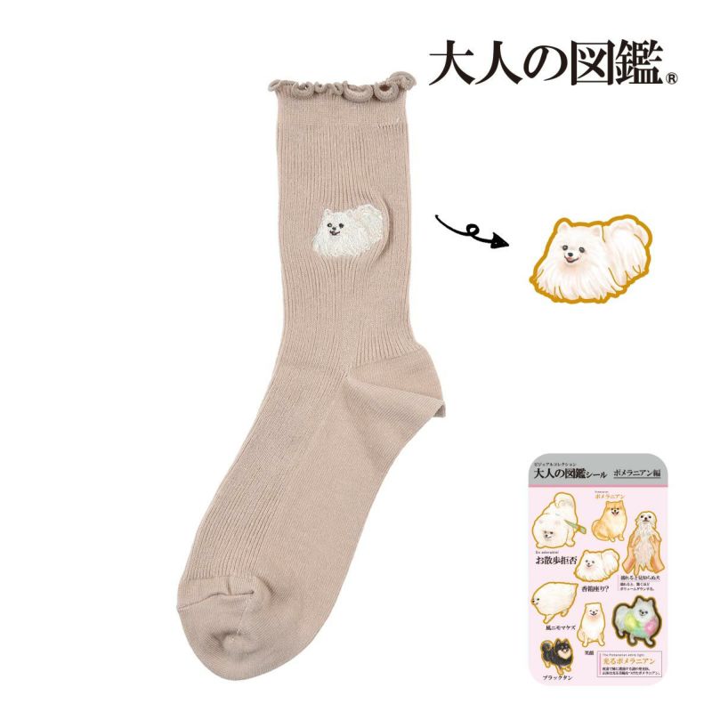 【大人の図鑑】靴下ポメラニアン編無地リブメローワンポイント刺繍クルー丈ポメラニアン(3182-12N)