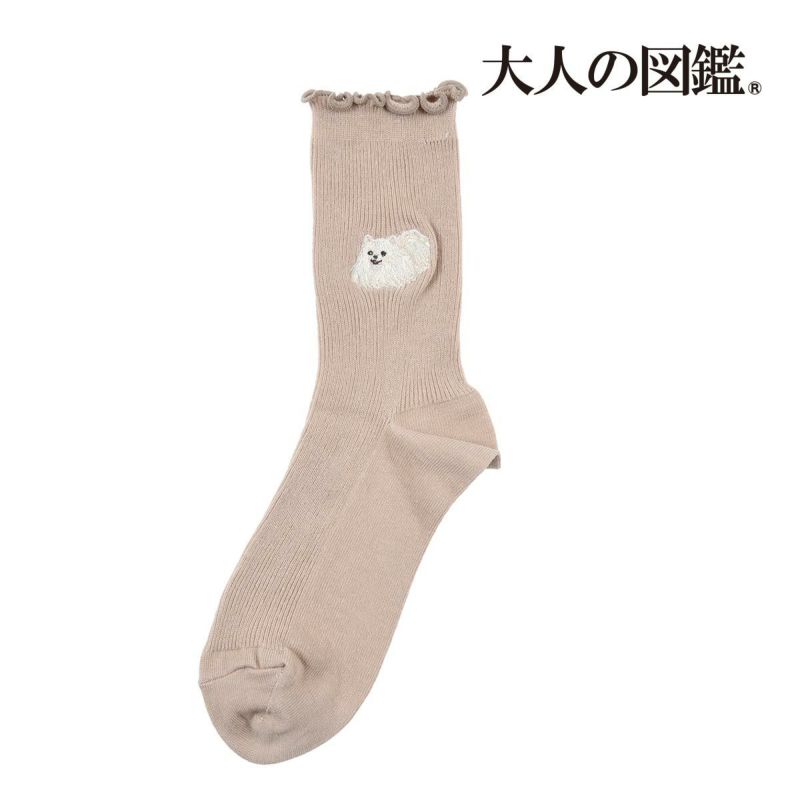 【大人の図鑑】靴下ポメラニアン編無地リブメローワンポイント刺繍クルー丈ポメラニアン(3182-12N)