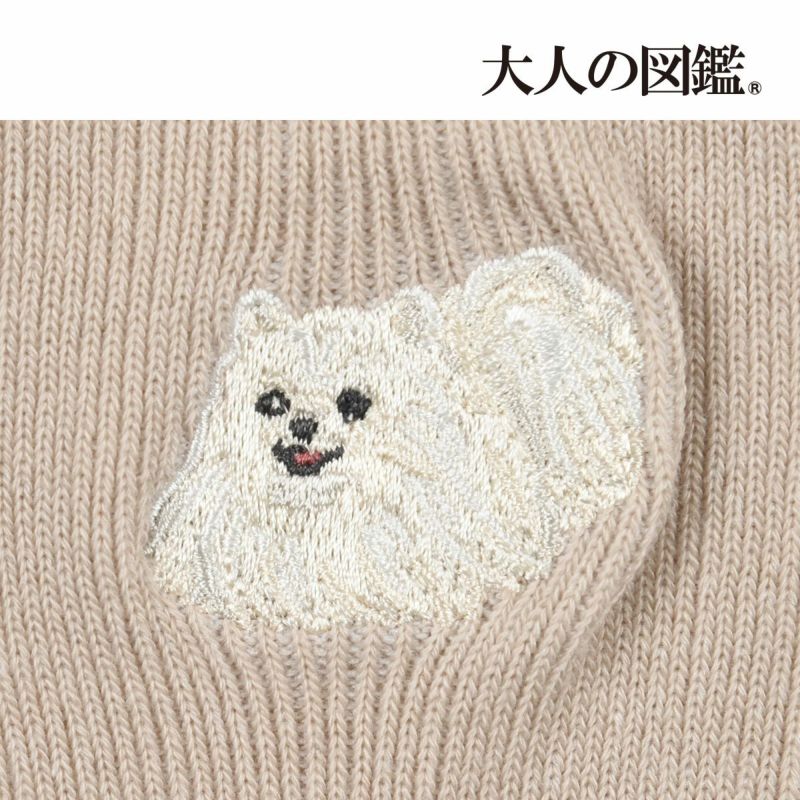 【大人の図鑑】靴下ポメラニアン編無地リブメローワンポイント刺繍クルー丈ポメラニアン(3182-12N)