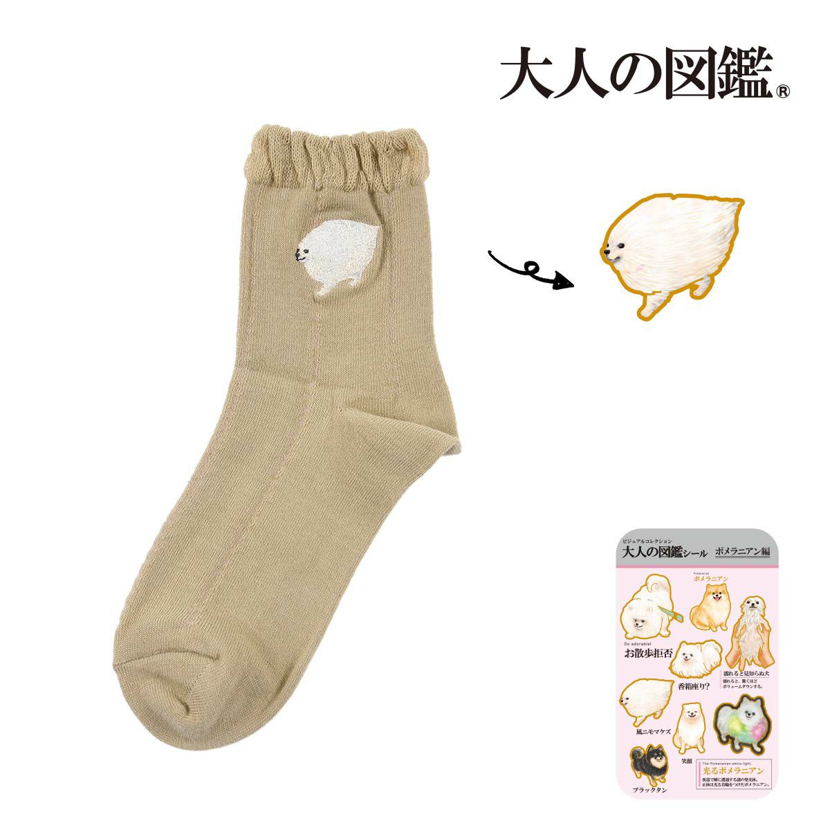 【大人の図鑑】靴下ポメラニアン編無地メッシュ風ワンポイント刺繍ショート丈ポメラニアン(3182-13N)