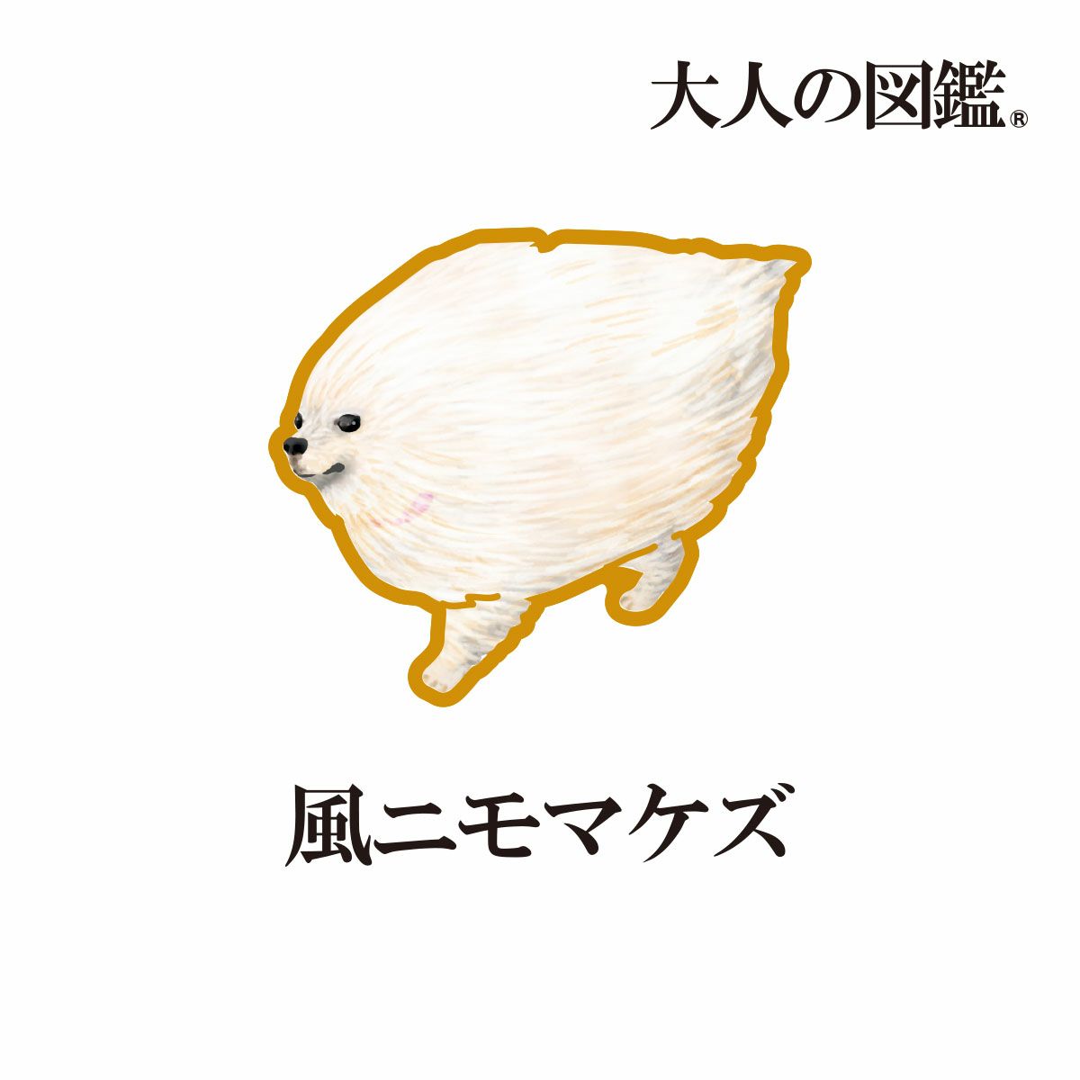 【大人の図鑑】靴下ポメラニアン編無地メッシュ風ワンポイント刺繍ショート丈ポメラニアン(3182-13N)
