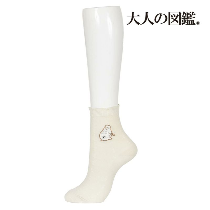 【大人の図鑑】靴下ポメラニアン編無地タックワンポイント刺繍ショート丈ポメラニアン(3182-14N)