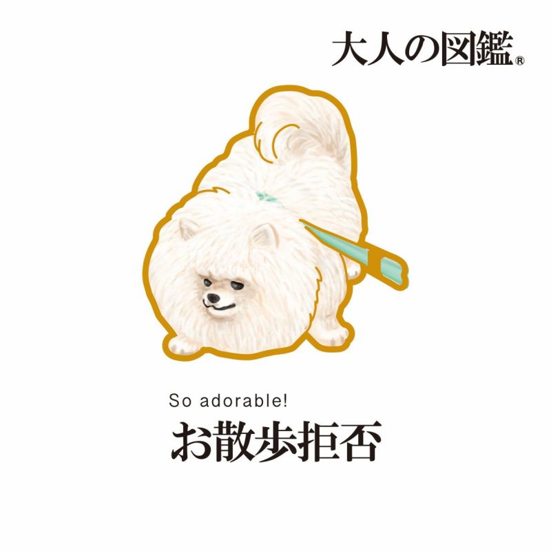 【大人の図鑑】靴下ポメラニアン編無地タックワンポイント刺繍ショート丈ポメラニアン(3182-14N)