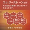 Colantotte(コラントッテ)：ACTIVE上下セット ルームウェア 無地 ワンポイント 上下セット ラグラン半袖 ハーフパンツ ストレッチメッシュ ウエストシャーリング(調節ひも有)(HRT-6001)