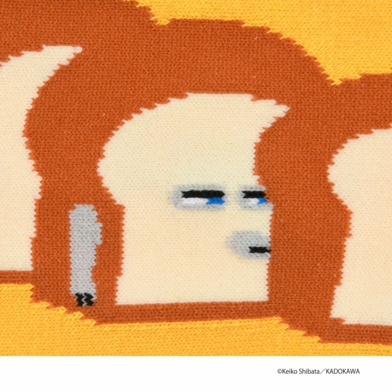 【パンどろぼう】 靴下 パンどろぼう スニーカー丈 (369-25B0)